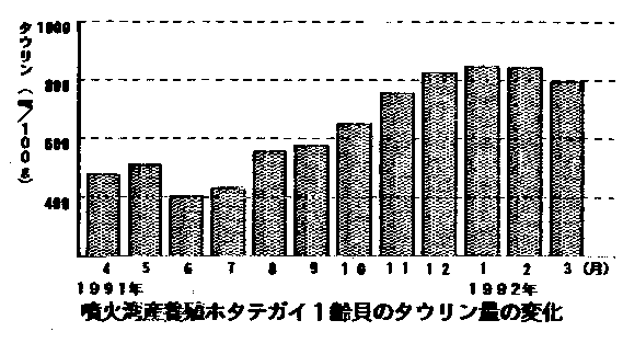 噴火湾産養殖ホタテガイ1齢貝のタウリン量の変化