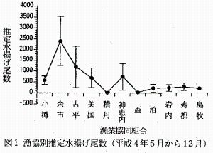 図1　漁協別推定水揚げ尾数