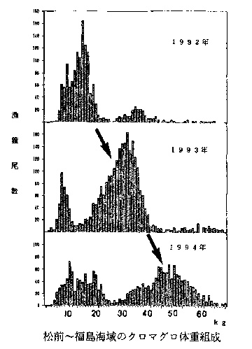 松前から福島海域のクロマグロ体重組成