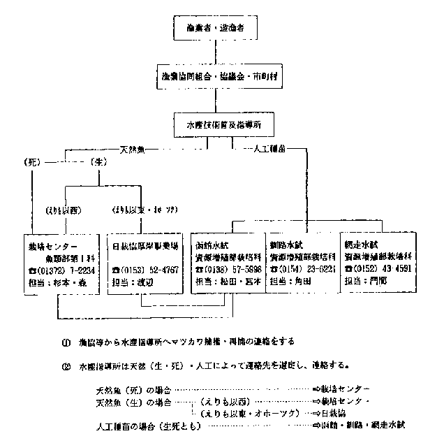 図2