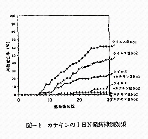 図1 カテキンのIHN発病抑制効果