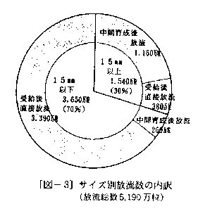 図3