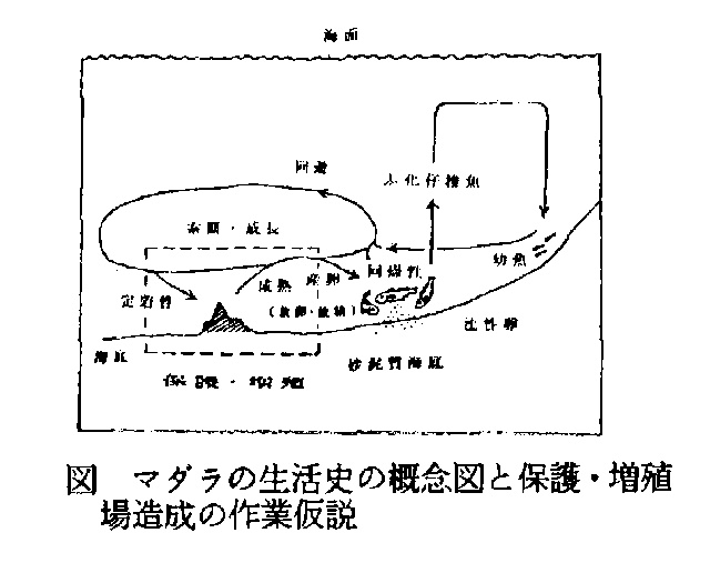 図