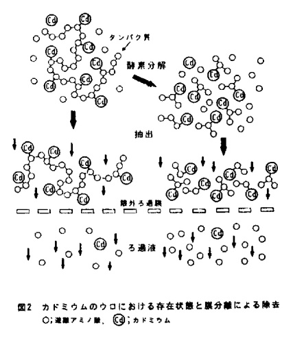 図2