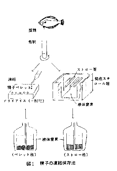 図1