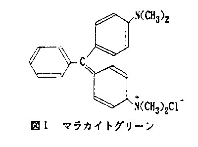 図1