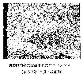 磯焼け地帯に設置されたウニフェンス