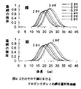 図4