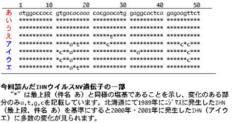 今回読んだIHNウイルスNV遺伝子の一部