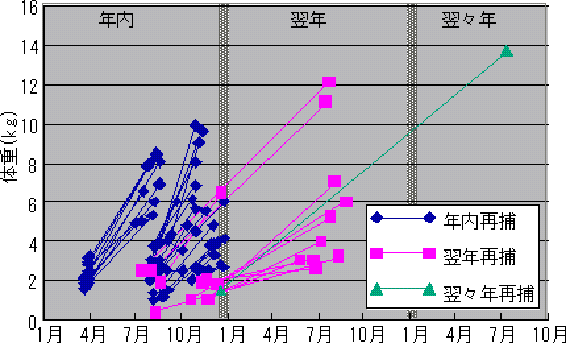 図1