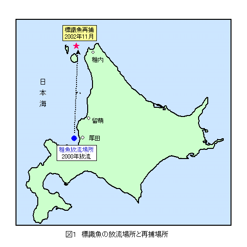 図1