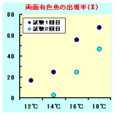 両面有色魚の出現率