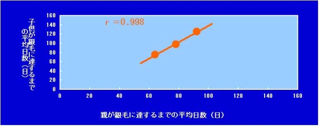 図4　