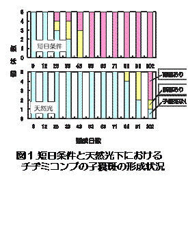 図1