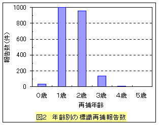 図2