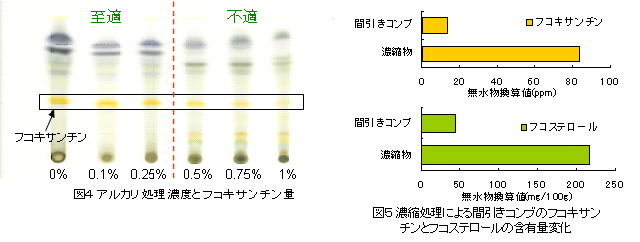 図4、5