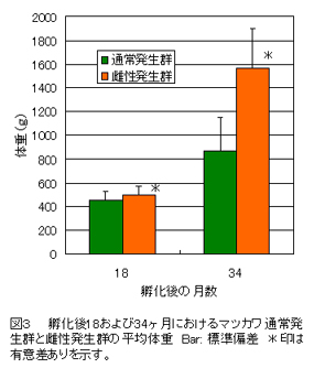 図3