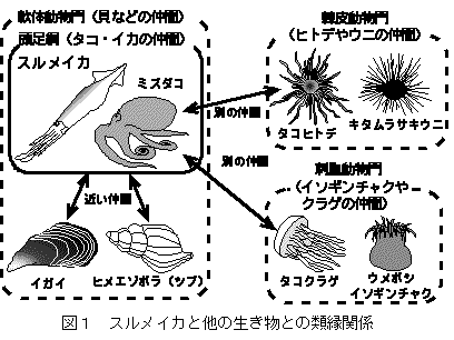 図1