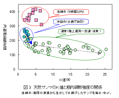 図3