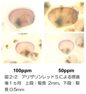 図2-2