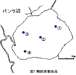 図1