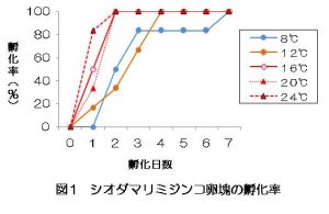 図1