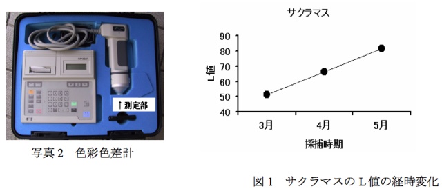 写真2、図1