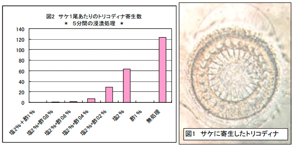 図1/図2