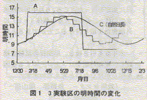 図1