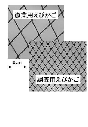 かご