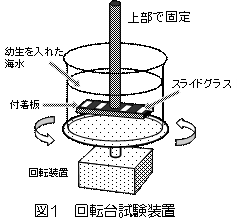 図1