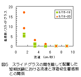 図5