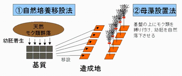 (1)と(2)図解説明