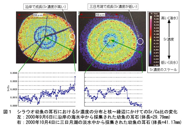 図1 