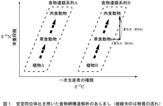 図1