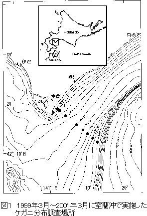 図1 1999年3月～2001年3月に室蘭沖で実施したケガニ分布調査場所