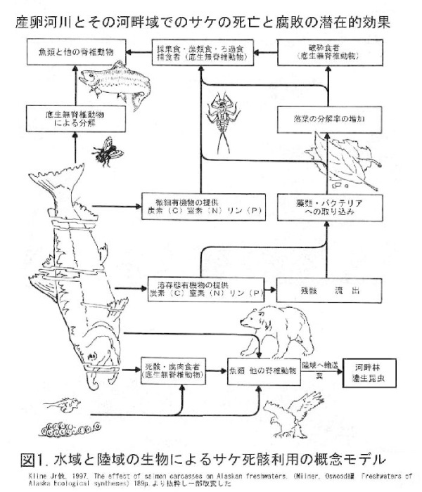 図1