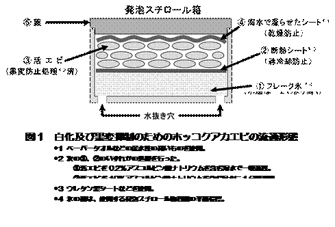 図1