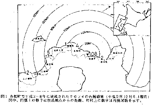 図1