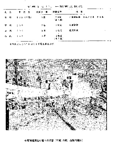 中間育成用生け簀への収容写真