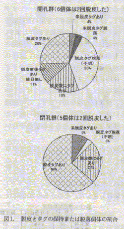 図1