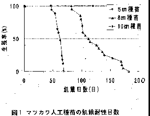 図1