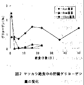 図2