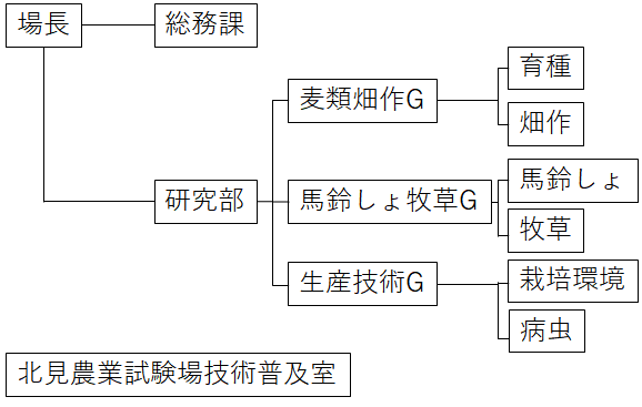 北見農業試験場組織図