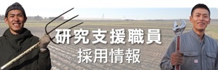 研究支援職員採用情報
