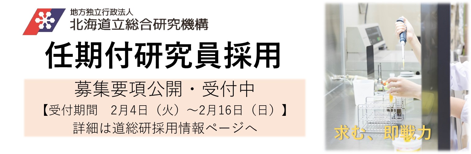 任期付研究員採用