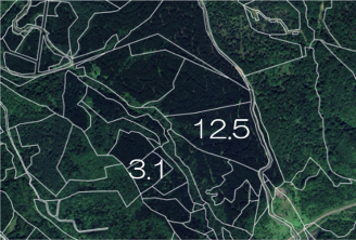 図1