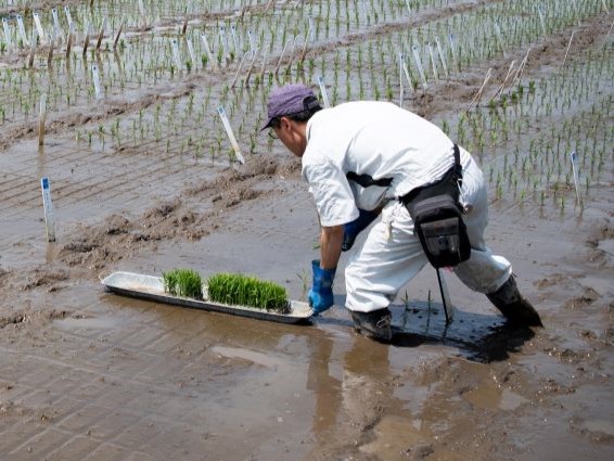 手植えは「舟」を携えて