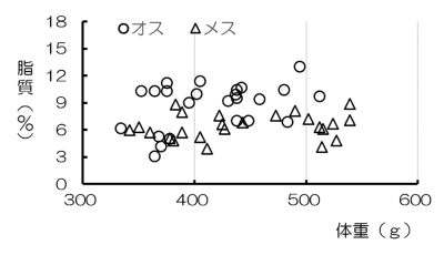 図1 ホッケ体重別の脂質含量(7月)