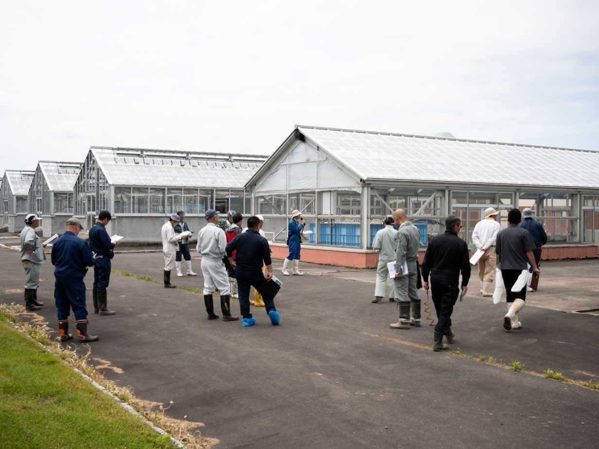 温室での試験も確認